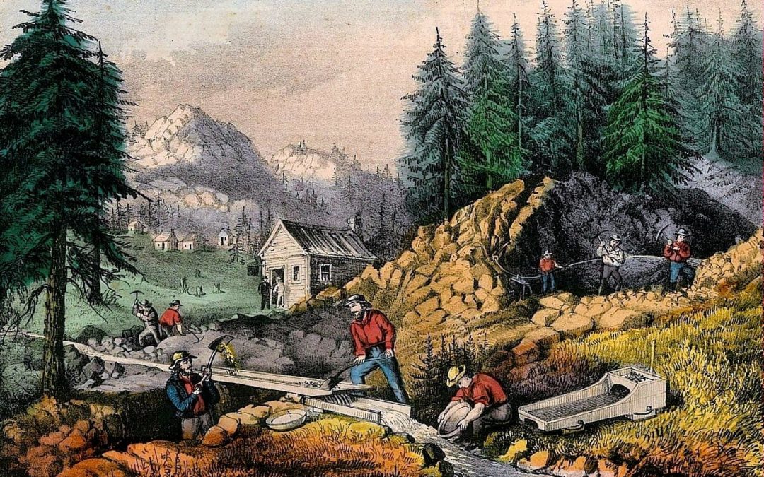 Frank Stevens and James Birch Catch the Gold Rush Fever